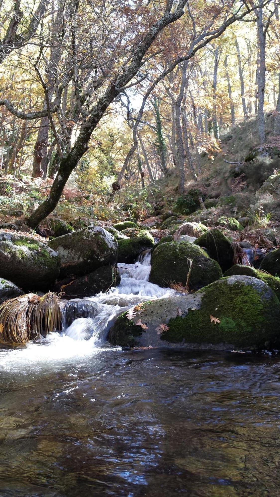 Casa Rural Con Encanto "Los Postigos" Banos De Montemayor Bagian luar foto